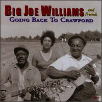 Big Joe Williams and Friends